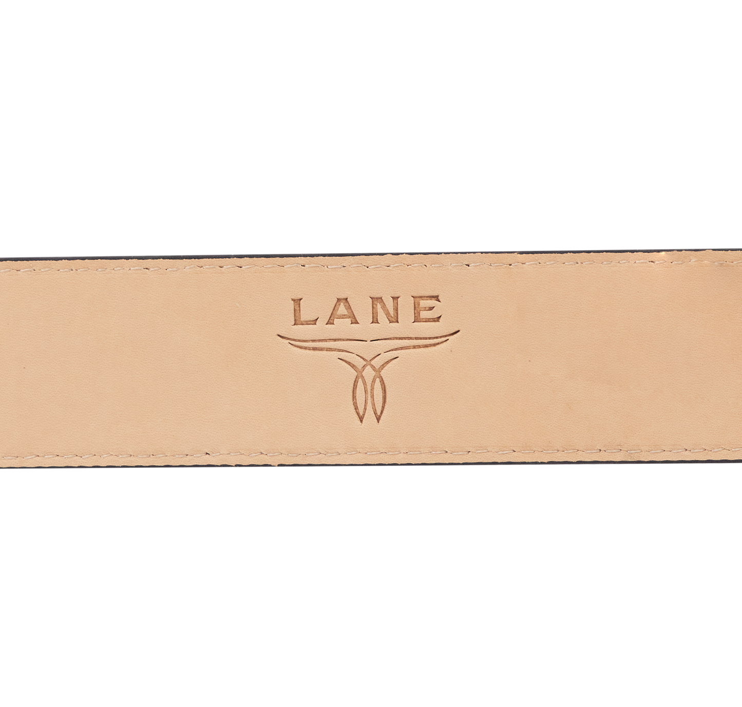 1.5 Woven Belt with Single Buckle-Jet Black