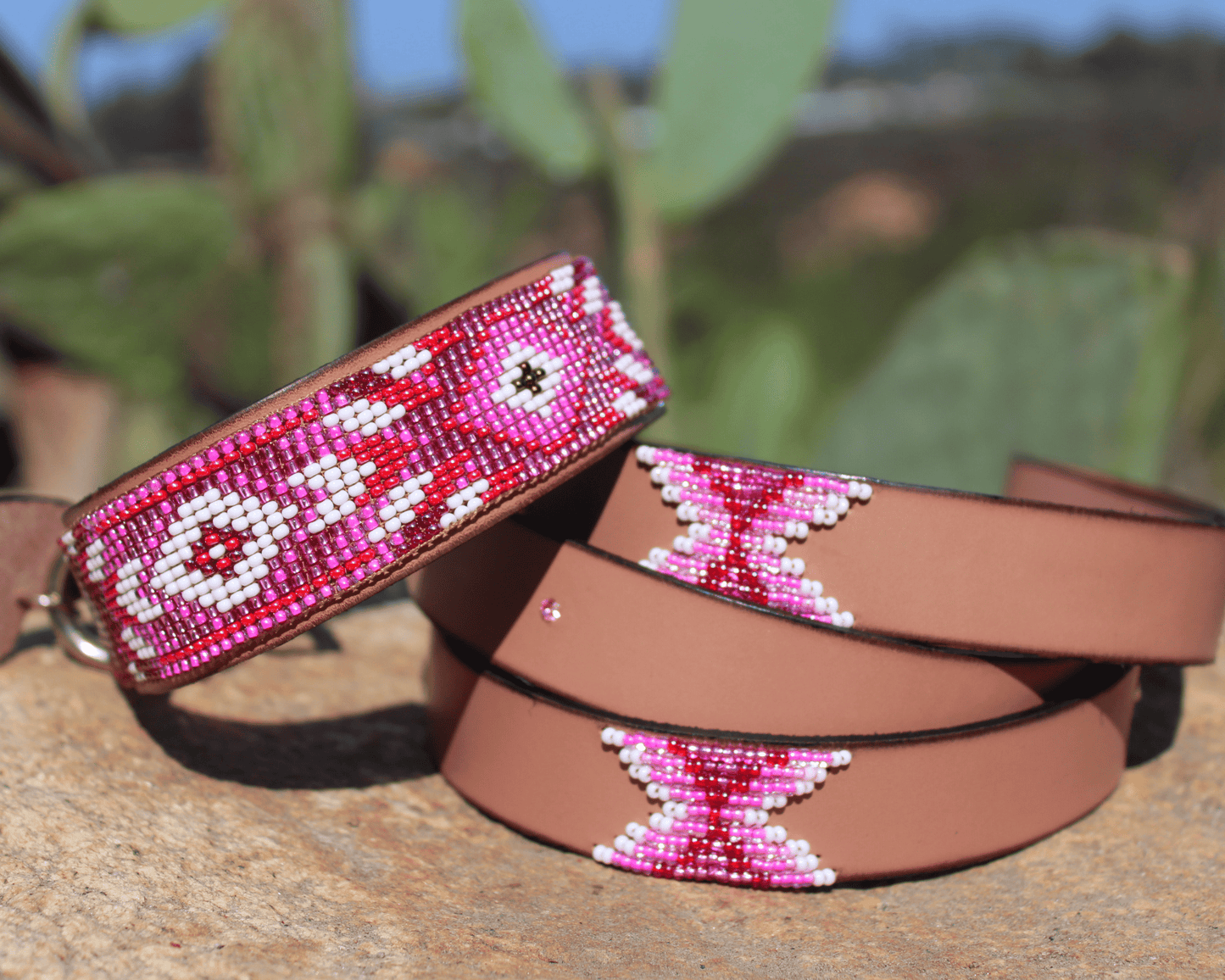 Matching leash/dog collar Melrose Sambboho Bundle