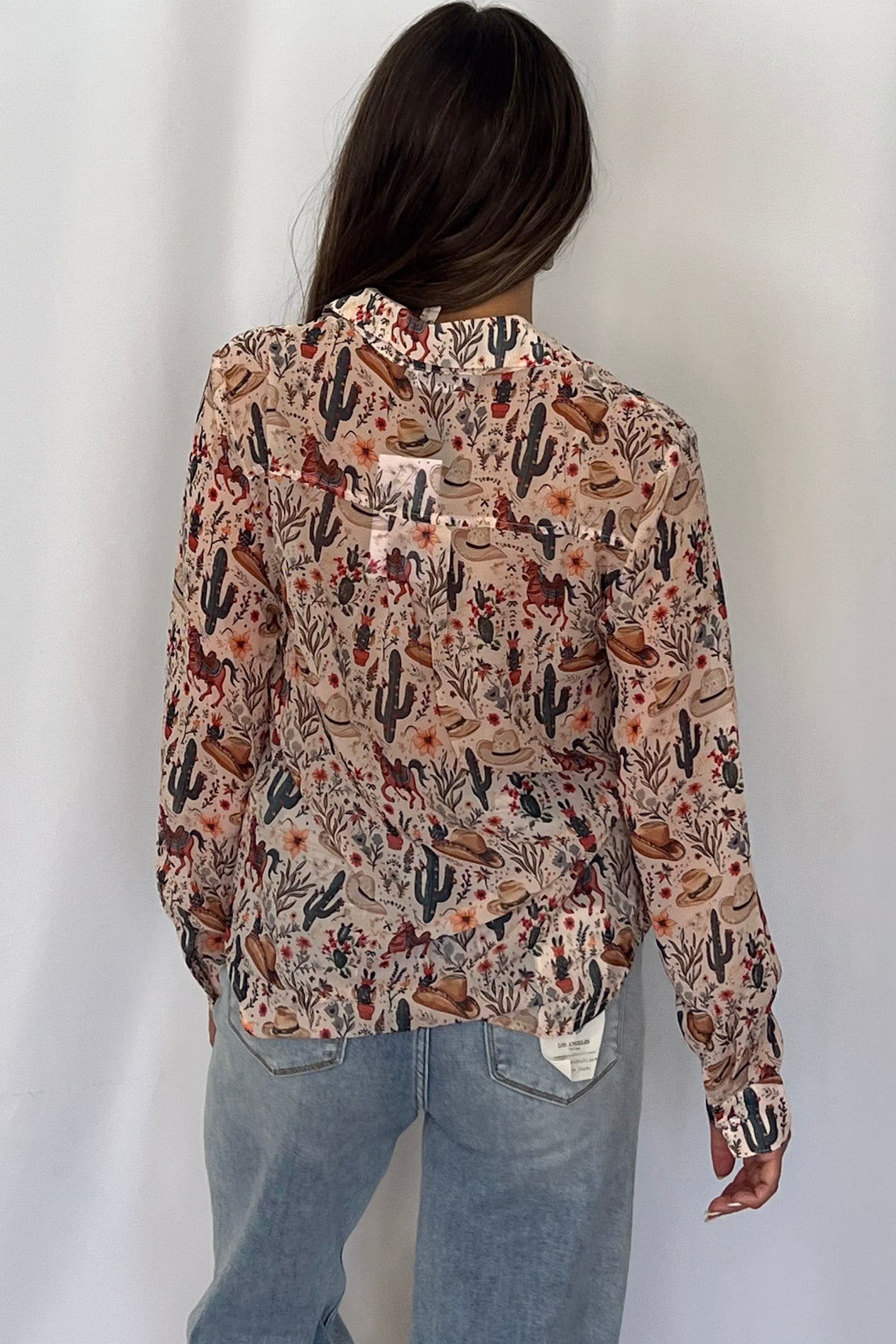 Painted Desert Chiffon Button Up Blouse