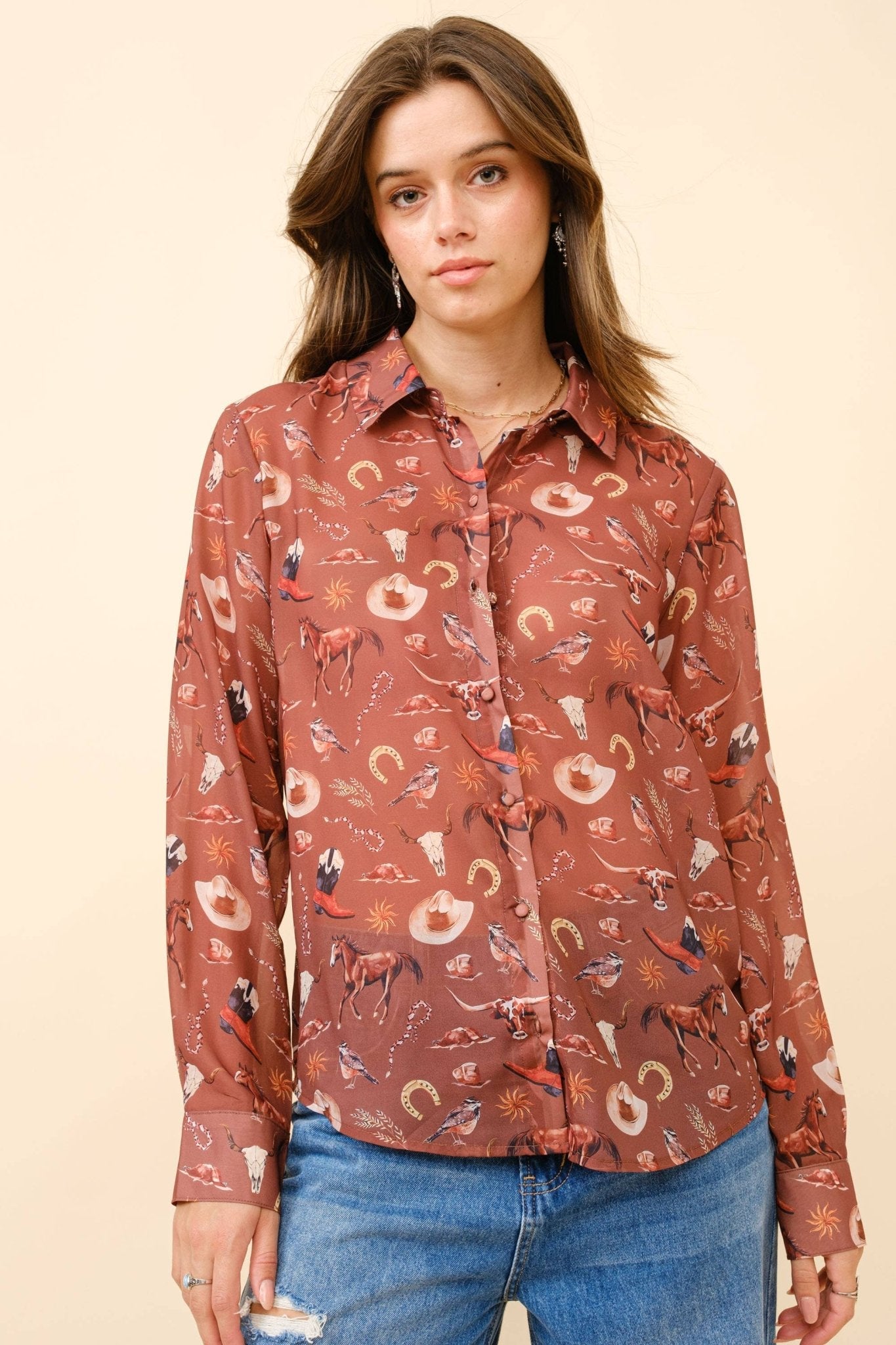 Painted Desert Chiffon Button Up Blouse