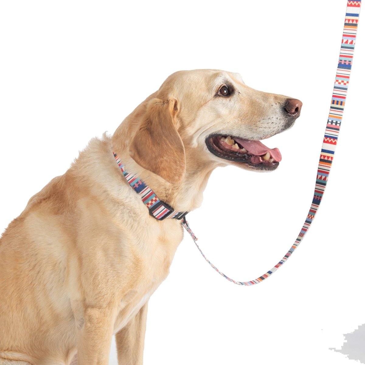 Pendleton Adventure Collar