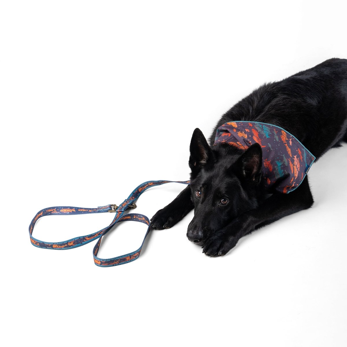 Pendleton® Adventure Leash