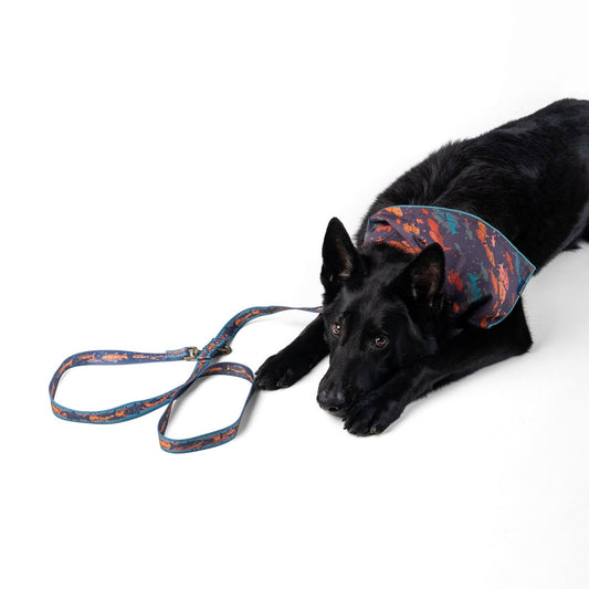 Pendleton Adventure Leash