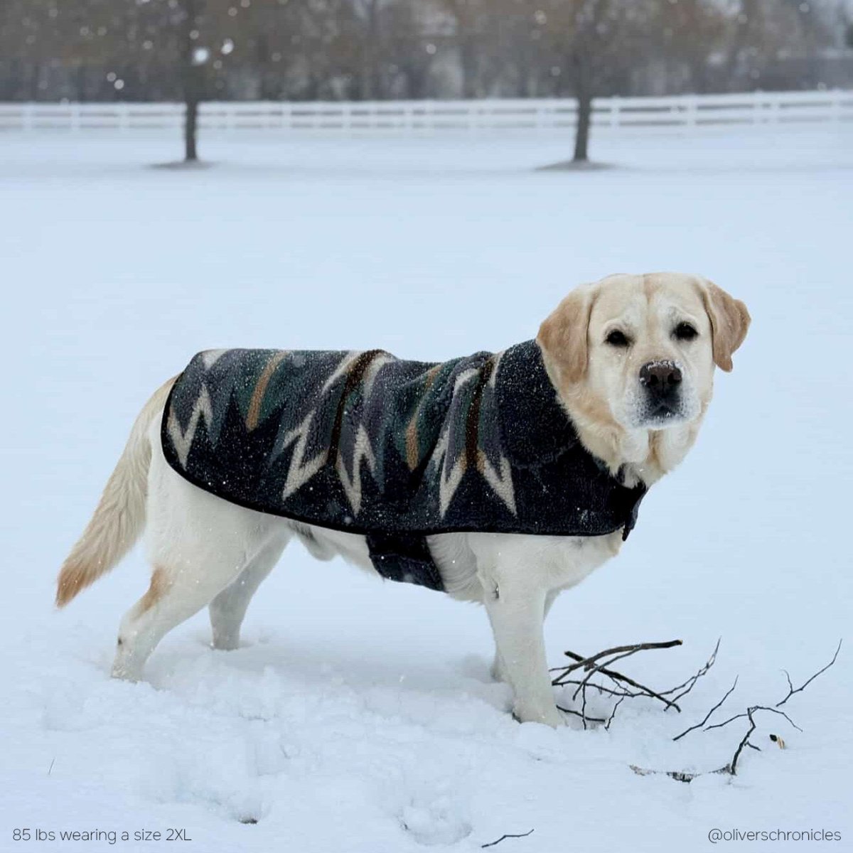 Pendleton Berber Dog Coat