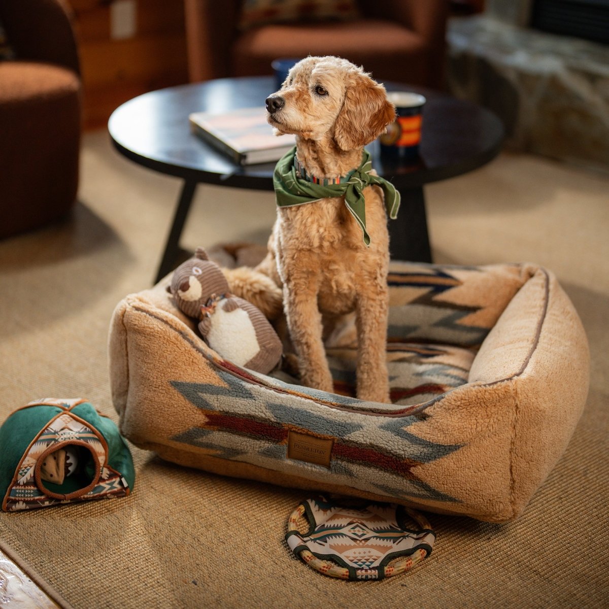 Pendleton Camp Discovery Tent Set Dog Plush Toy