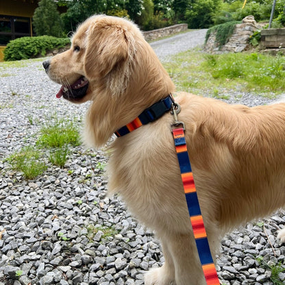 Pendleton® National Park Adventure Leash