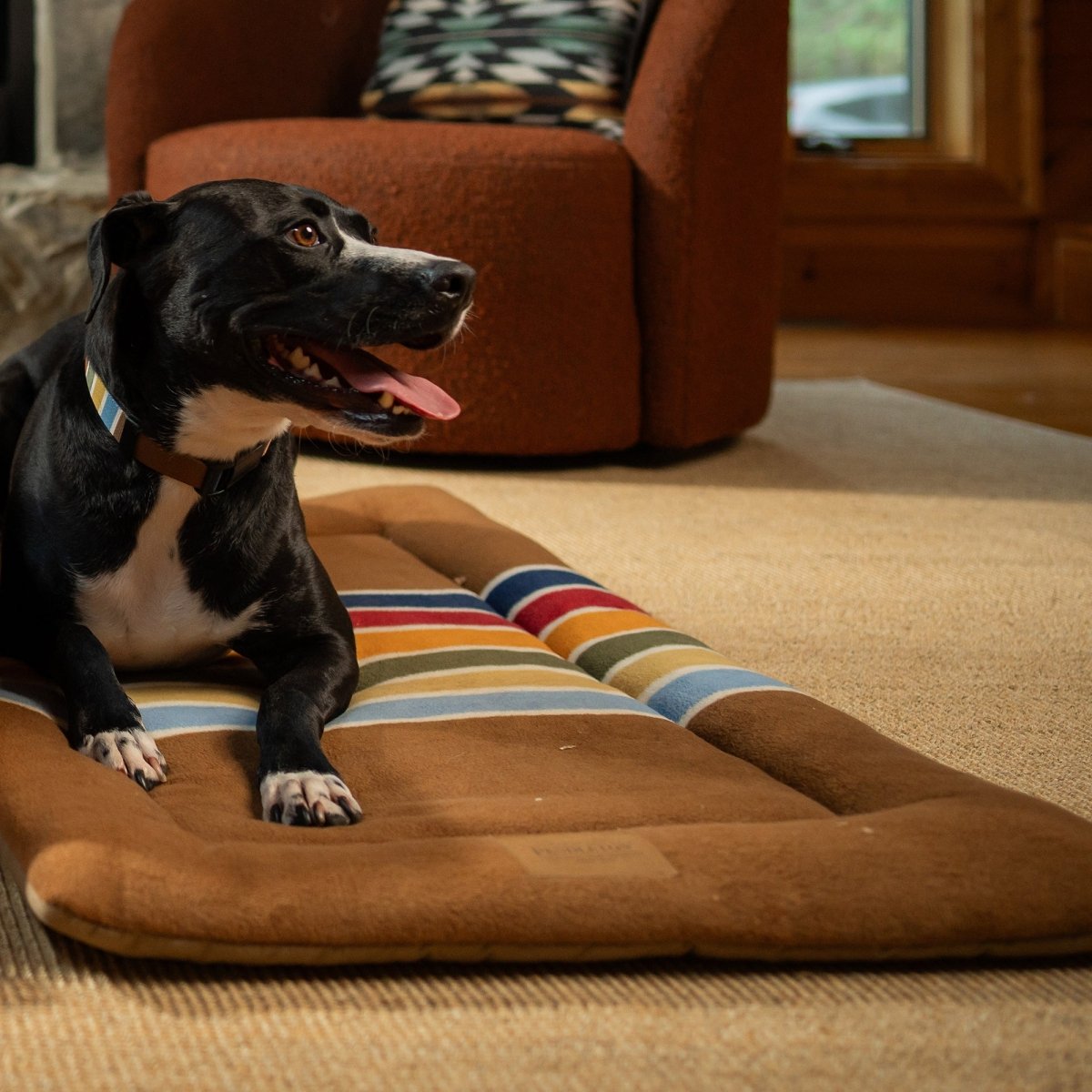 Pendleton National Park Comfort Cushion