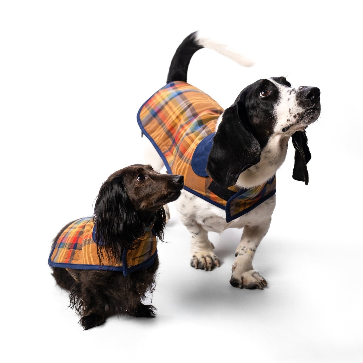 Pendleton Plaid Pet Coat