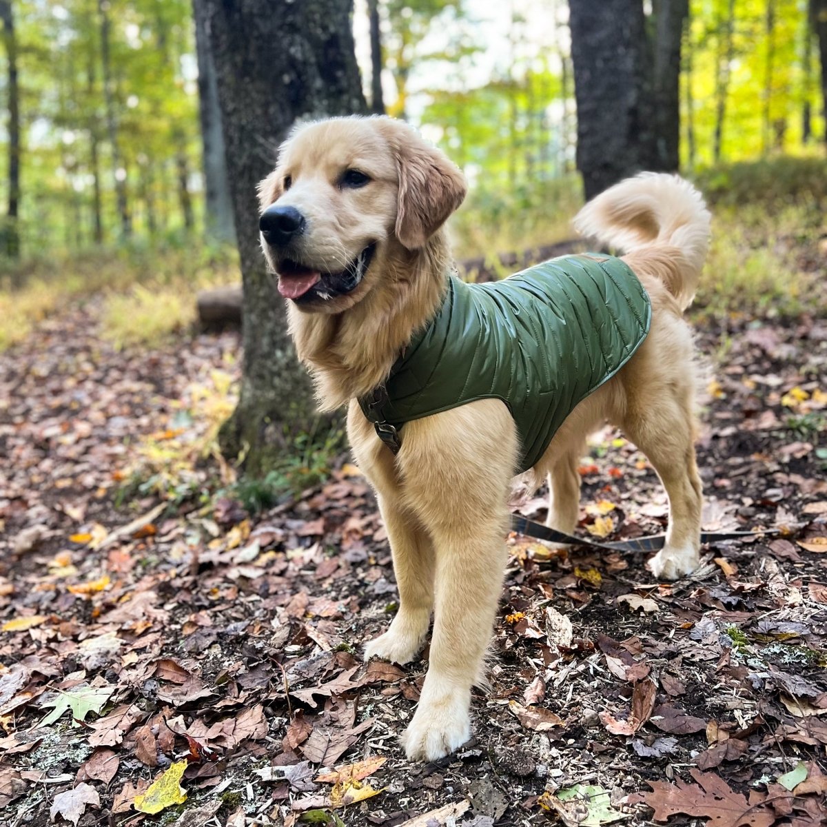 Pendleton Puffer Dog Coat