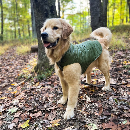 Pendleton Puffer Dog Coat