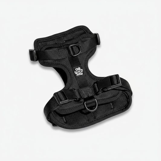 AdventurePro Harness