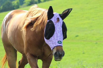Dash for Cash (Purple) Fly Mask