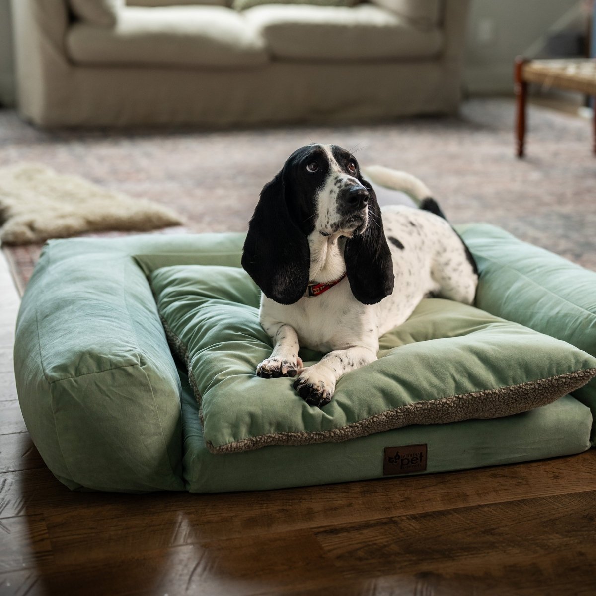 Rectangle Orthopedic Pet Couch