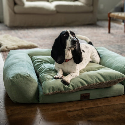 Rectangle Orthopedic Pet Couch