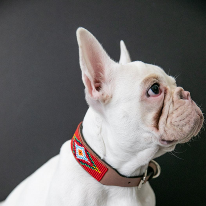 Red Vogue Sambboho dog collar