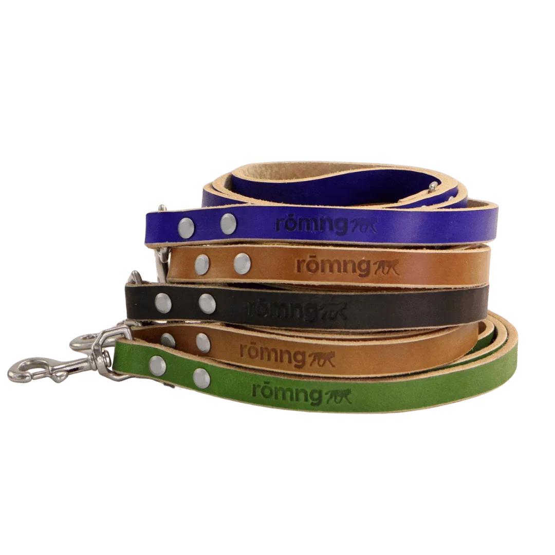 handmade leather dog leash